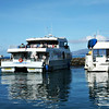 Lanaina Harbor, The Ferry to Lana'i