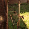 The old Puunene school.