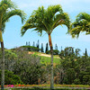 Kapalua Golf Resort