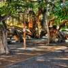 HDR PHOTOS # 2 : A LITTLE OF EVERYTHING # 2