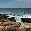 HDR PHOTOS # 2 : A LITTLE OF EVERYTHING # 2