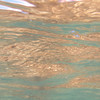 IN THE WATER OR ON TOP OF THE WATER : 