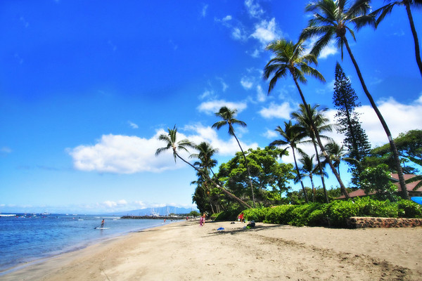 Maui Beach