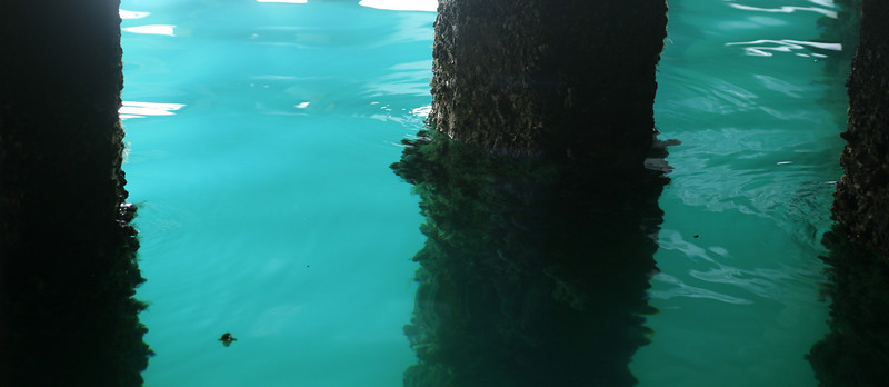 MAY 11 2013
Under the Honolulu pier.