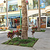 FEB 1 2013
 Street shot,
 Shops of Wailea, Maui