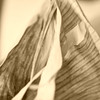 Photo Art Sepia : 