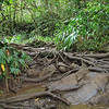 FEB 2 2013
HIKE INTO THE WATER FALLS
Twin Falls Maui, HI