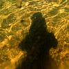 MAR 5 2013
Underwater shadow.