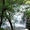 FEB 3 2013
The hike into Twin Falls.
The lower falls. 
Maui, HI