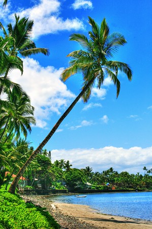Maui Beach
